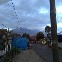 Wisata petik buah naga di gondanglegi. Taman Wisata Selorejo Ngantang Local Business Ngantang