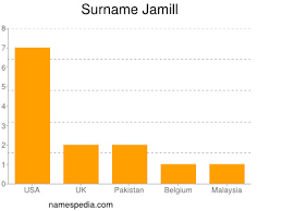 They belong to what has become a youtube subgenre of couple vloggers. Jamill Names Encyclopedia