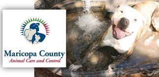 We found that pets.maricopa.gov is poorly 'socialized' in respect to any social network. Animal Care Control Urges Pet Owners To Keep Pets Safe This Summer Desert Ridge Lifestyles