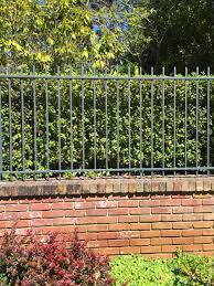 Metal outside decor to put on a brick wall. Front Wall All Brick Or Stucco W Brick Cap And Wrought Iron Fence On Top Privacy Hedge Behind Wrought Iron Fences Small Garden Fence Iron Fence