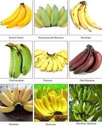 How To Grow Banana Plants Indoors And Outdoor Gowritter Fruit Plants Banana Plants Growing Fruit