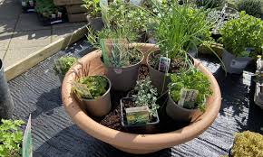 This water feature consists of an underground, waterproof basin; How To Create A Herb Planter