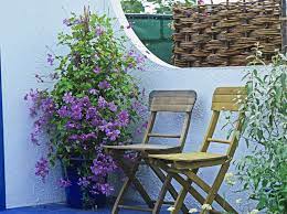 Check the plant every day, especially during hot, dry weather. How To Grow Clematis Van Meuwen