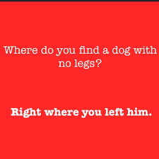 They make those jokes because they are funny. Funny Jokes Riddles That Make You Laugh