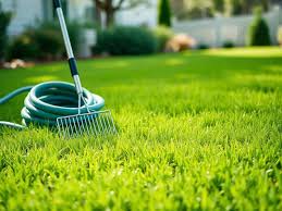 Attention: These 8 signs in your lawn mean your grass needs help before it's too late - The Economic Times