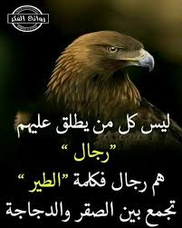 صباح الورد يا عرب Quotes For Book Lovers Insprational Quotes Funny Arabic Quotes