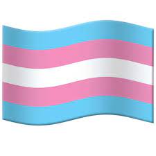 Paste the transgender flag emoji 🏳️‍⚧️; Unicode Finally Responds To Lack Of A Trans Pride Flag Emoji