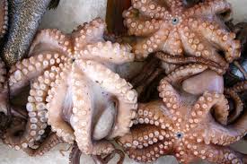 Λίγα πράγματα που πρέπει να γνωρίζεις για το χταπόδι... - twominutesangie