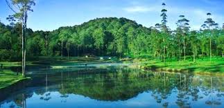 Hasil gambar untuk foto wisata bandung selatan ciwidey