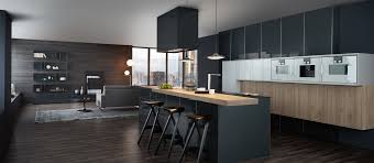 leading nyc modern european kitchen