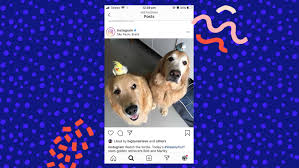 Everything You Need To Know About Instagram Hiding Likes Business 2 Community