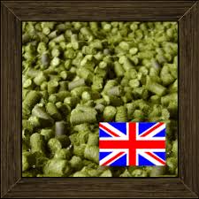 Noun masculine lúpulo m (plural lúpulos). Lupulo Ingles Bahia Malte