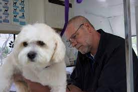 I remember getting the phone book out and calling a grooming shop to ask them what to do with her hair. Small Business Spotlight Paws Around Town Mobile Dog Grooming Northwest Indiana Business Headlines Nwitimes Com