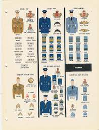It joined the oneworld alliance in 2020. Grades Militaires Danois Wikipedia