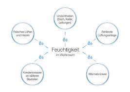 Baumängel begünstigen auf dauer schimmelbildung neben falschem lüften sind aber oft genug auch baumängel schuld an der schimmelbildung in der wohnung. Schimmel In Der Wohnung Informationen Zu Ursachen Und Entstehung