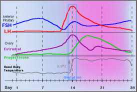 Pregnancy Hormones Chart Progesterone Ovulation And Charting