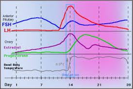 pregnancy hormones chart progesterone ovulation and charting