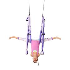 Yoga Trapeze Purple With Free Digital Program Yoga Trapeze Yoga Swing Yoga Inversions