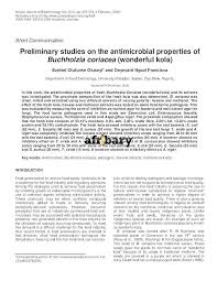 Image result for Buchholzia