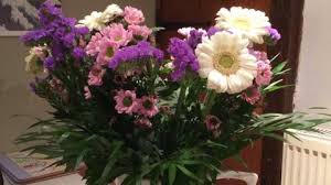 Planning A Funeral For Your Stillborn Baby Tommy S