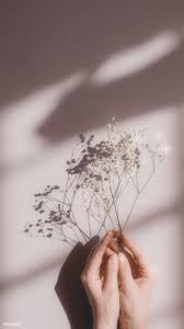 Download Premium Image Of Woman Holding White Flowers On A Pink Background Aesthetic Backgrounds Aesthetic Pictures White Aesthetic