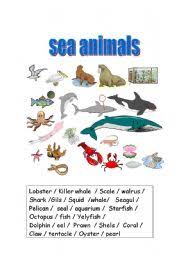 Sea Animals Esl Worksheet By Laura Crespillo