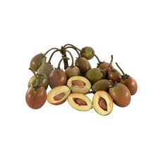 Image result for Manilkara kauki