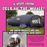 A Visit from Delilah the Whale!