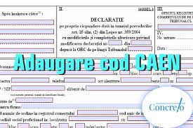 Declaratia model in cazul in care se doreste activarea altor coduri caen. Adaugare Cod Caen Pentru Srl Pfa Ii If