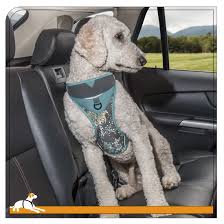 Kurgo Products Muted Floral Dog Car Harness 20 00 Http Www Kurgostore Com Dog Harnesses Muted Floral Dog Car Harness Dog Car Harness Dog Harness Dogs