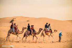 Early morning desert safari includes free pick & drop, camel ride, sunrise experience from the desert, 45+ minutes dune bashing & free photography. Pin On Dubai Desert Safari