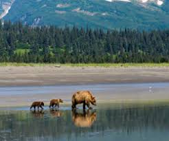 But is the fattest country on earth. 10 Least Visited National Parks And Why You Have To See Them