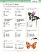 Think you know a lot about halloween? Quick Quizzes Insect Feeding And Defense Printable Quiz Gr 3 6 Teachervision