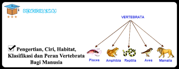 Tim zoologi invertebrata (nono sutarno, ammi syulasmi, rini solihat) jurusan pendidikan biologi fpmipa upi Pengertian Ciri Habitat Klasifikasi Dan Peran Vertebrata