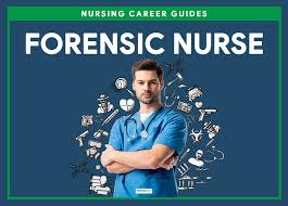 Forensic Nurse All You Need To Know About Forensic Nursing