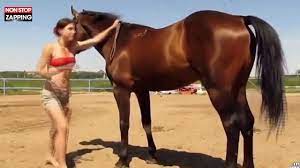 Quand une fille sexy essaye de grimper sur un cheval (Vidéo) - Vidéo  Dailymotion