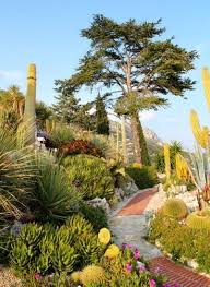 Jardin Exotique D Eze Alpes Maritimes En 2020 Jardin Exotique Jardin Exotique Monaco Beaux Jardins