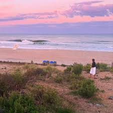 Image result for Sebaea pentandra