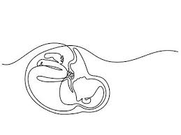 Continuous Line Drawing Baby In Womb On The White Background Line Drawing Continuous Line Drawing Line Art Drawings