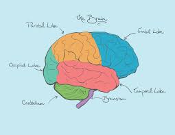 dementia and delirium including alzheimers article