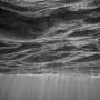 Profile Picture of Laurel Schultz Photographson Google