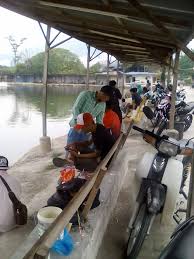Namun, meskipun mudah ditangkap, memperhatikan umpan mancing kolam air masin sangatlah penting. 6 Kolam Pancing Ini Adalah Port Terbaik Buat Kaki Pancing Lepaskan Gian