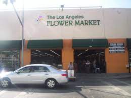 Maybe you would like to learn more about one of these? Gm Floral Company Wholesale Floral Supply And Fresh Flowers