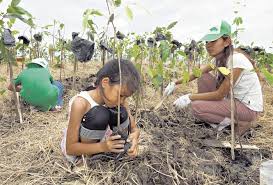 Y esta actividad está haciendo cambios verdaderamente. La Forestacion Un Tema De Conciencia Ambiental
