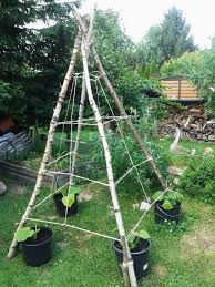 Photo From A Broken Linked Site Better Description Of Concept At Renee S Gardens Anyway L In 2020 Vegetable Trellis Backyard Vegetable Gardens Vegetable Garden Design