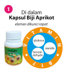 Aprikot, vitamin seperti vitamin a, c, e, k dan niacin mempunyai sedikit vitamin utama minyak dari kernel mempunyai kesan penting pada penjagaan kulit. Cystfibroid Elzera