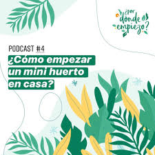Como veréis con un solo palet hacemos este huerto para. Como Empezar Un Mini Huerto En Casa By Por Donde Empiezo A Podcast On Anchor