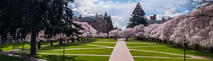 University Of Washington The Princeton Review College Rankings Reviews Seattle university, locally referred to as su, is a christian university and one of 28 institutions that belongs to the association of jesuit colleges and universities.