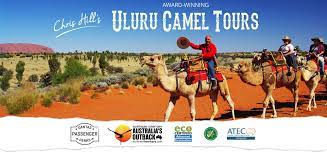 Uluru small group tour the official sunset spot, is just one long parking lot with a fence right in front of it. Qantas Uluru Camel Tours Uluru Ayers Rock Australia