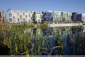 Inviter La Nature En Ville Lyon Confluence Jardin Aquatique Ville Durable Biodiversite